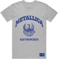 Metallica Ing College Crest Unisex Grey XL (METTS44MG04)