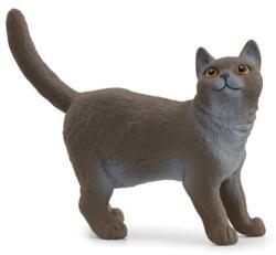 Schleich Animal - pisică britanică cu păr scurt (OLP102613973) Figurina