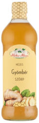 Méhes-Mézes Gyömbér Szörp 668g Drs