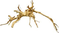 INVITAL Red moor wood KG 1150g (ID Z00515)
