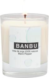 BANBU Szója gyertya - Fekete bors
