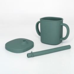 Coccorito Cana cu pai si capac din silicon, Coccorito, Mint (coco_cana_mint) Set pentru masa bebelusi