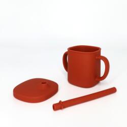 Coccorito Cana cu pai si capac din silicon, Coccorito, Red (coco_cana_red) Set pentru masa bebelusi