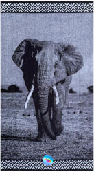  Animal elefántos strandtörölköző