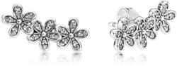 Pandora Cercei de argint romantic de argint 290744