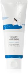 ROUND LAB Birch Juice Moisturizing Cleanser gel de dus delicat spumant efect regenerator 150 ml