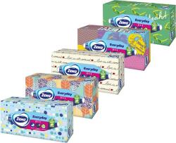 Zewa Everyday Box (100 db)