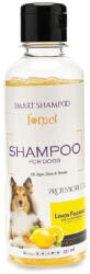 CityVet SAMPON PENTRU CAINI Smart Shampoo, 4Pet, LAMAIE, 250 ml