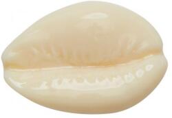 Crocs Jibbitz Jibbitz Crocs Puka Shell