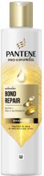 Pantene sampon 250ml Bond Repair