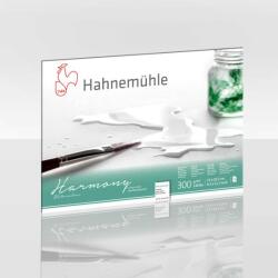 Hahnemühle akvarelltömb, Harmony, 300 g - 12 lap, A4, sima