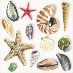 Ambiente Shells papírszalvéta 33x33cm, 20db-os