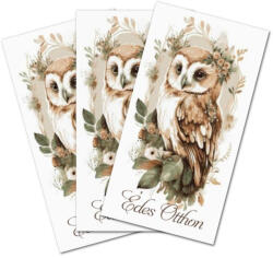  Nyomtatott dekorkarton - Édes otthon bagoly tábla 3db/cs - papelito