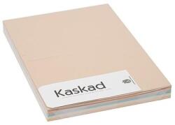 Kaskad Dekorációs karton KASKAD A/4 2 oldalas 160 g pasztell vegyes színek 5x25 íves (621100 (K16)) - robbitairodaszer