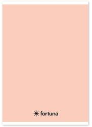 Fortuna Füzet vonalas FORTUNA Monocolor A/5 32 lapos 21-32 pasztell barack (01.02087) - robbitairodaszer