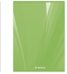 Fortuna Füzet sima FORTUNA Basic A/4 32 lapos 80-32 (01.08258) - robbitairodaszer