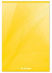 Fortuna Spirálfüzet franciakockás FORTUNA Basic A/4 70 lapos (01.08266) - robbitairodaszer