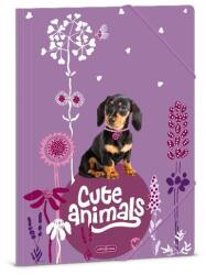 Ars Una Gumis mappa ARS UNA A/4 Cute Animals-Puppy (50213696) - robbitairodaszer