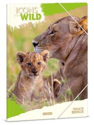 Ars Una Gumis mappa ARS UNA A/4 Icons of the Wild-Lions (50215041) - robbitairodaszer