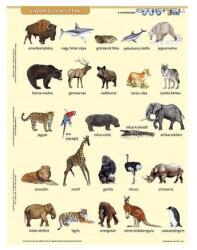 Stiefel Tanulói munkalap STIEFEL A/4 vadon élő állatok + munkaoldal (27588) - robbitairodaszer