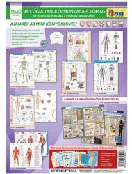 Stiefel Tanulói munkalap csomag STIEFEL Biológia (TMCSOMAG5-U) - robbitairodaszer