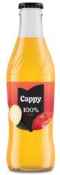 Cappy Gyümölcslé CAPPY Alma 100% üveges 0, 25L DRS (1933102)