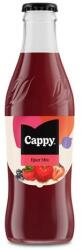 Cappy Gyümölcslé CAPPY Eper 35% üveges 0, 25L DRS (1144507)
