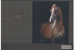 Lizzy Card Füzetborító A/4 papírbetétes 420x290 mm Geo Horse