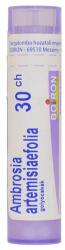  Ambrosia Artemisiaefolia golyócskák 30CH 4g