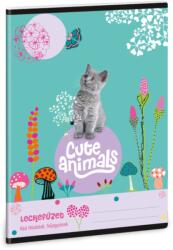 Ars Una Ars Una: Cuki állatok - Kiscica leckefüzet 38 lapos A/5 (50843688) - jatekshop