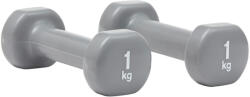 Reebok súlyzókészlet 1 kg 1 szürke