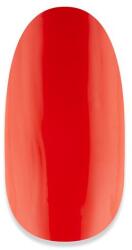 NiiZA Gel Polish 4ml - 115 - gellakk