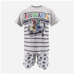  Harry Potter Witchcraft Grey gyerek rövid pizsama 10 év / 140 cm (85SEV2031A10)