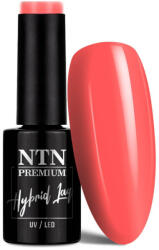 NTN Premium UV/LED Géllakk 164#
