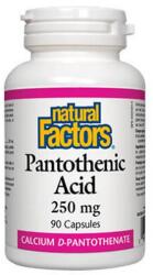 Natural Factors Pantothenic Acid 250mg / 90 Caps