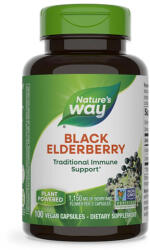 Nature's Way Black Elderberry (Fruit and Flower) 575 mg / 100 Caps