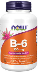 NOW Vitamin B-6 100 mg / 250 Caps