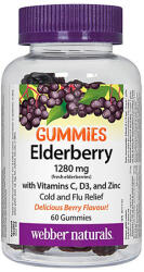 Webber Naturals Elderberry + Vitamins C, D3 and Zinc / 60 Gummies