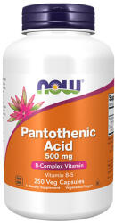 NOW Vitamin B-5 / Pantothenic Acid 500 mg / 250 Caps