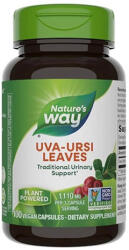 Nature's Way Uva Ursi Leaves 100 Caps