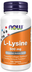 NOW L-Lysine 500mg. / 100 Tabs
