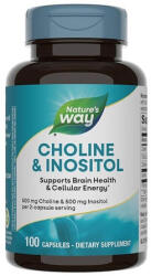Nature's Way Choline & Inositol 100 Caps