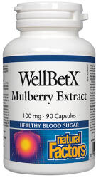 Natural Factors WellBetX Mulberry Extract 100mg / 90 Caps