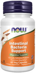 NOW Intestinal Bacteria Support / 60 Vcaps