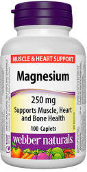 Webber Naturals Magnesium 250 mg / 100 Caps