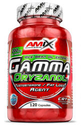 Amix Nutrition Gamma Oryzanol 90 Caps