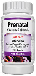 Webber Naturals Prenatal Multivitamins and Minerals / 100 Caps