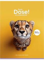 Shokolyarky füzet tűzött A5 vonalas 48 lap Nice to meet you - Citromsárga