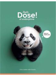 Shokolyarky füzet tűzött A5 vonalas 48 lap Nice to meet you - Zöld