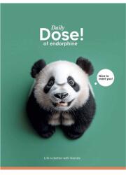 Shokolyarky füzet tűzött A5 kockás 48 lap Nice to meet you - Zöld